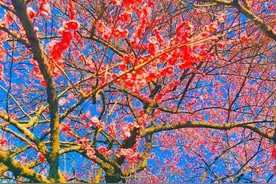 只有经历过才会明白，人生无常，就是要让自己快乐图片