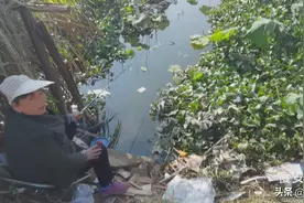 立冬暖阳下好不好钓鱼？看看80岁老奶奶荷叶下挥杆守钓就明白了图片