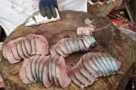 钓鱼宰鱼时，鱼因受到伤害而挣扎，鱼能感觉到疼痛吗？为什么？图片