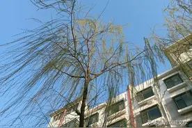 古诗词｜七律 吟春（外四首）图片