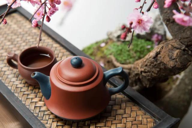 “理氣而不傷陰”，此花可入藥