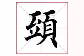 每日一字285：头图片