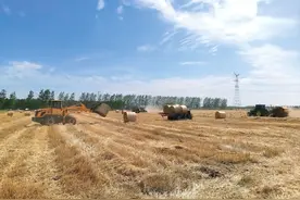 农民日报聚焦：不再就地焚烧的秸秆，归宿到底在哪图片