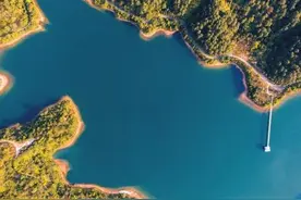 木木的日常科普-从生物地理学视角，理解诱饵消灭蟑螂无效的问题图片