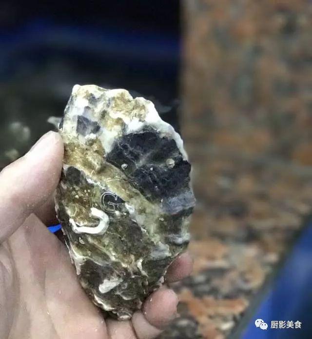 什么海鲜胶原蛋白最多 2025年海鲜含有胶原蛋白吗