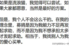 救治流浪猫需要五千，我愿意出一千块，其他的在小区群里发的众筹图片