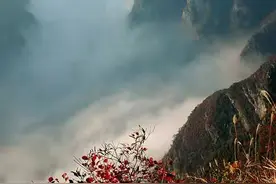 Y染色体单倍群N与周朝王室图片