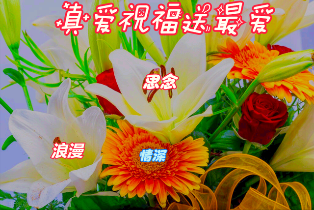 一花一世界,人间最美花相伴,真爱祝福送最爱,深情思念刻心上