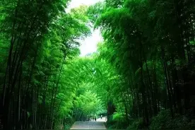 武汉最凉爽的几个地方，夏天请把我扔在这里图片