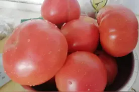 我这样做出来的西红柿汁酱鲜美可口，好吃极了图片