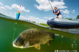 这才是正确的鱼钩选择，一次讲透，不少新老钓友竟然不会选择？图片
