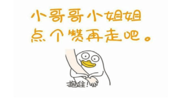 被“宠着长大”的狗,这几个特征很明显