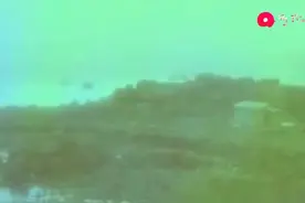 刘德华《冰雨》图片