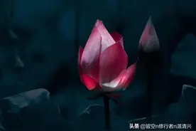 人过五十，要学会装糊涂图片