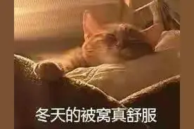 可爱搞笑的表情包：冬天的被窝真舒服图片