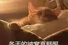可爱搞笑的表情包：冬天的被窝真舒服图片