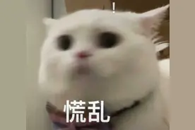 什么？这是个“危险软件”？图片