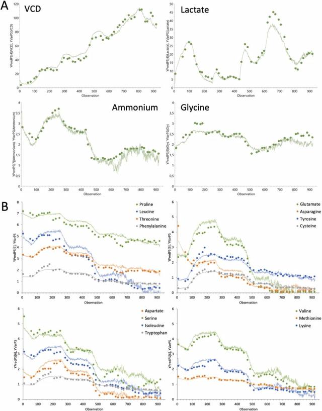 基于拉曼光谱监测高密度细胞灌流培养中的氨基酸和抗体N-糖基化