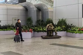 广州白云机场升级保障措施 这些事项要注意图片