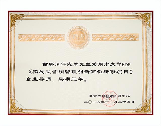 龙行营销——更懂中小企业的品牌营销咨询公司
