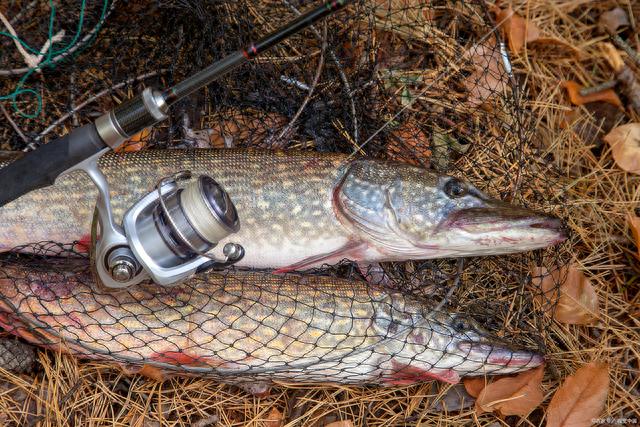 ����������ߡ����������֮·�ǰ���