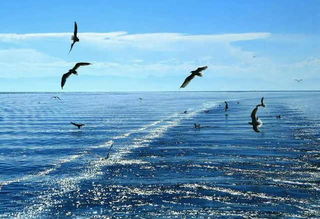 世界上最深的淡水湖是什么湖 世界上最大的淡水湖是