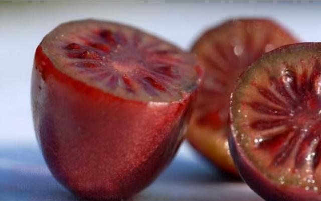 若你家乡还有它们，请你保护起来，不要让外人采挖，市场行情不错