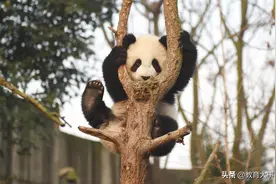 高考完啦嗨起来！适合毕业旅行的地方给你列好了，2天-2周任选！图片