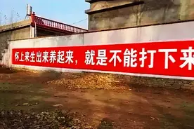 “儿女双全”最幸福？20年后会发现，这种家庭组合更受欢迎图片