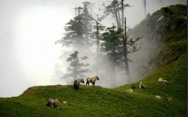 四川省民生研究会新媒体中心-官网