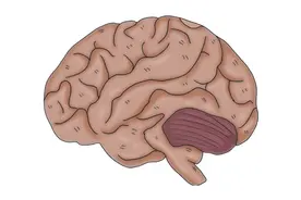 脑供血不足会引发脑梗，身上4特征已提前发出警报，有人却没在意图片