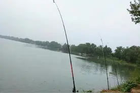 海竿、路亚竿和矶钓竿，这三种竿有什么区别？了解后就不会买错了图片