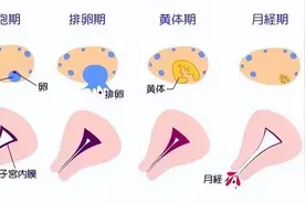 月经推迟的8个原因，女生必看！图片