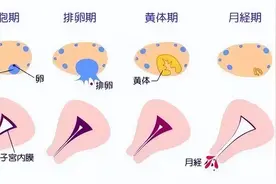 月经推迟的8个原因，女生必看！图片