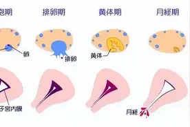 月经推迟的8个原因，女生必看！图片