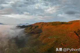对比编程语言的四种错误处理方法，哪种才是最优方案？图片