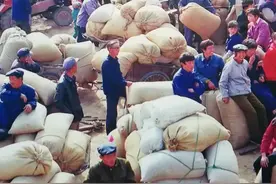 专家提议：给缴过公粮的老农民发放特殊补贴！是否属实？来看看图片