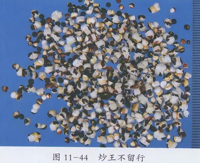 麦田里常见的野草，却是通乳圣药