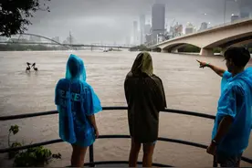 老鼠和青蛙趴在蛇身上逃生？澳大利亚这场洪水，简直魔幻图片