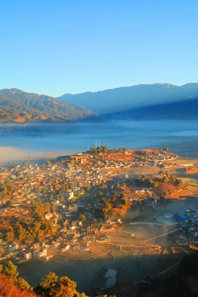 云龙，太宝藏了！