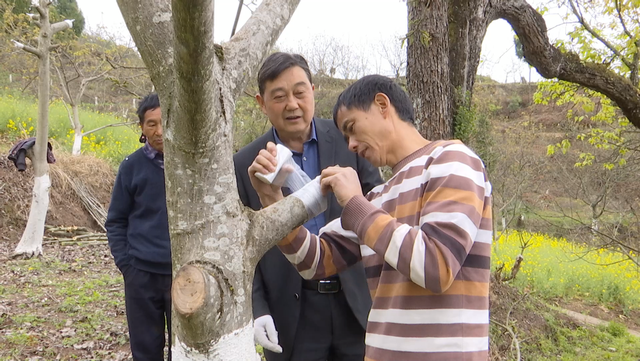 四川省民生研究会新媒体中心-官网