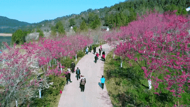 四川省民生研究会新媒体中心-官网
