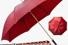 英国Rainie高端雨伞、手杖、鞋拔子图片