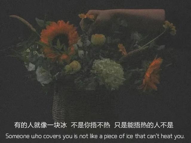 朋友圈情感文案图｜念念不忘，没有回响
