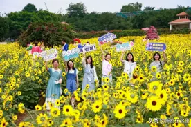 周末，成都这里的向日葵花海对老爸免门票图片