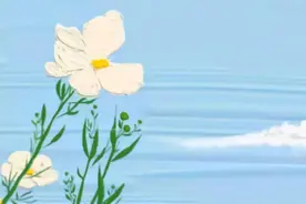 “责任担当”主题的优质素材，写进作文惊艳阅卷老师图片