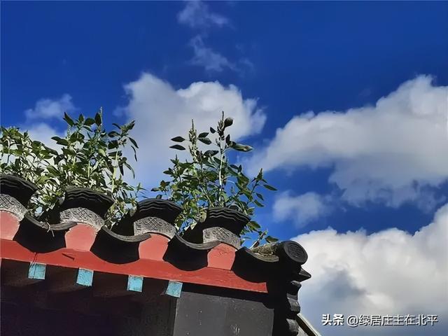 北京二环最大规模腾退潮启动，有没有你熟悉的胡同？错过就是十年