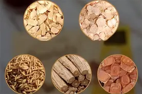 这些中药名称都带“参”，功用却不同图片