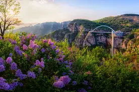 玩转淄川！文旅打卡推荐地图片