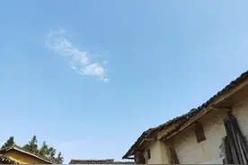 故乡往事@那条到访祖宅的头长棱角的神秘大蛇图片